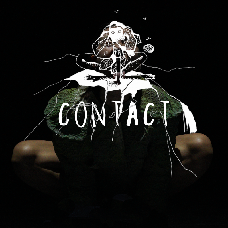 Contact survol